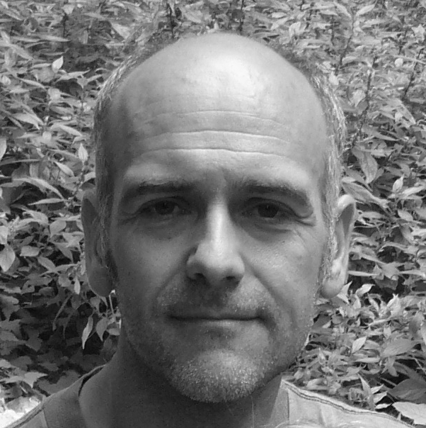 Felix Petriconi image