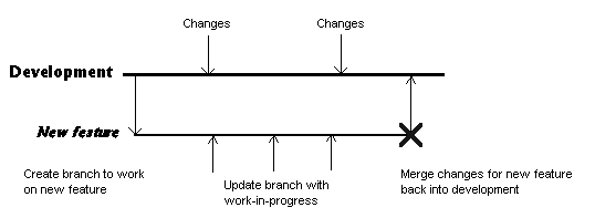 Basic Branching